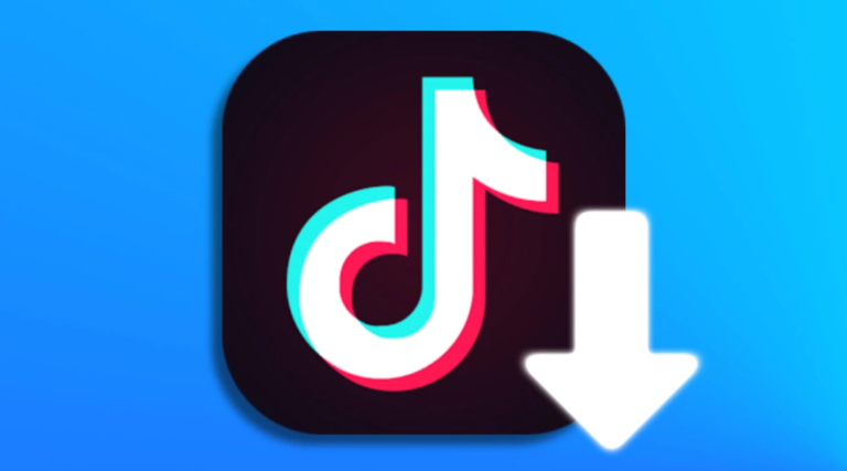 TikTok Downloader